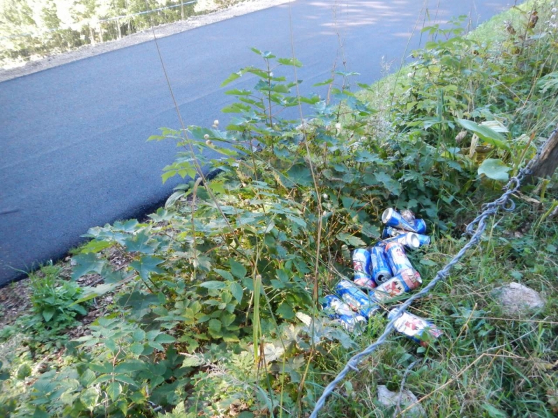 Les déchets sauvages