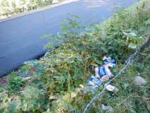 Les déchets sauvages