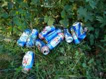Les déchets sauvages
